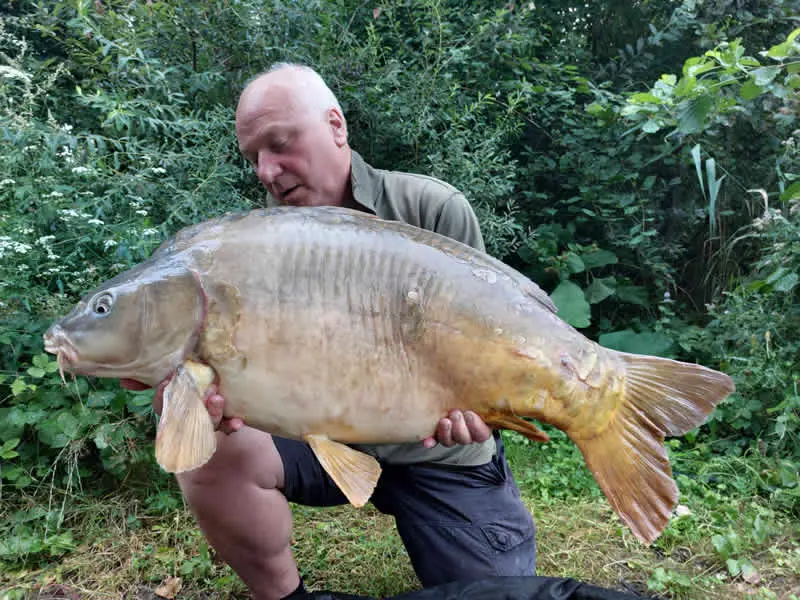 Les Quis Fish Gallery
