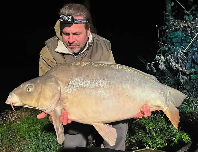 Les Quis Fish Gallery
