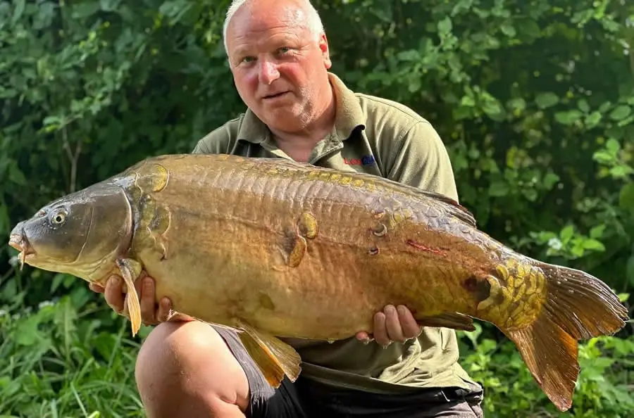 Les Quis Fish Gallery