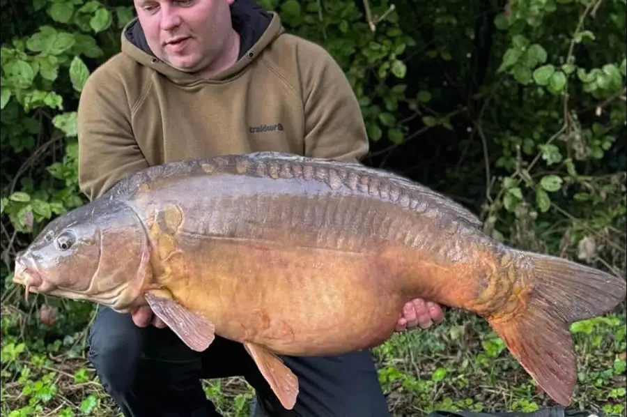 Les Quis Fish Gallery